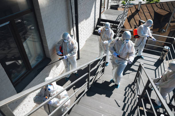 Best Water Damage & Mold Remediation  in Clare, MI