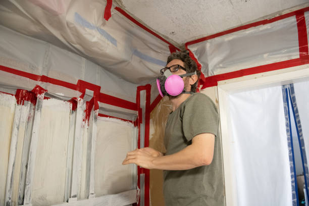Best Water Damage & Mold Remediation  in Clare, MI