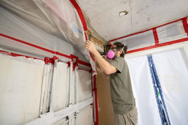 Best Residential Mold Inspection & Testing  in Clare, MI
