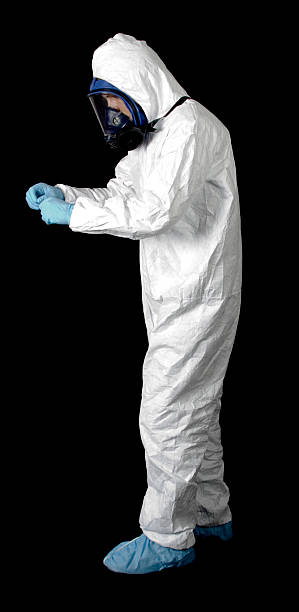 Professional Mold Removal in Clare, MI
