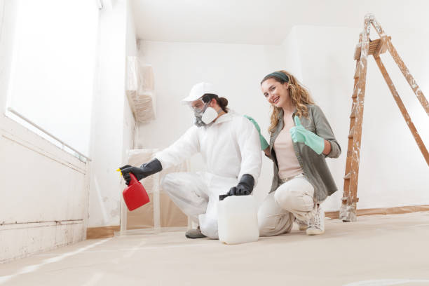 Best Attic Mold Removal  in Clare, MI
