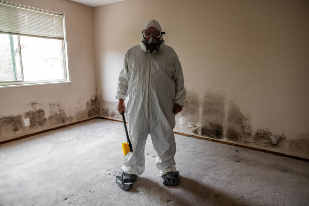 Best Biohazard Mold Removal  in Clare, MI